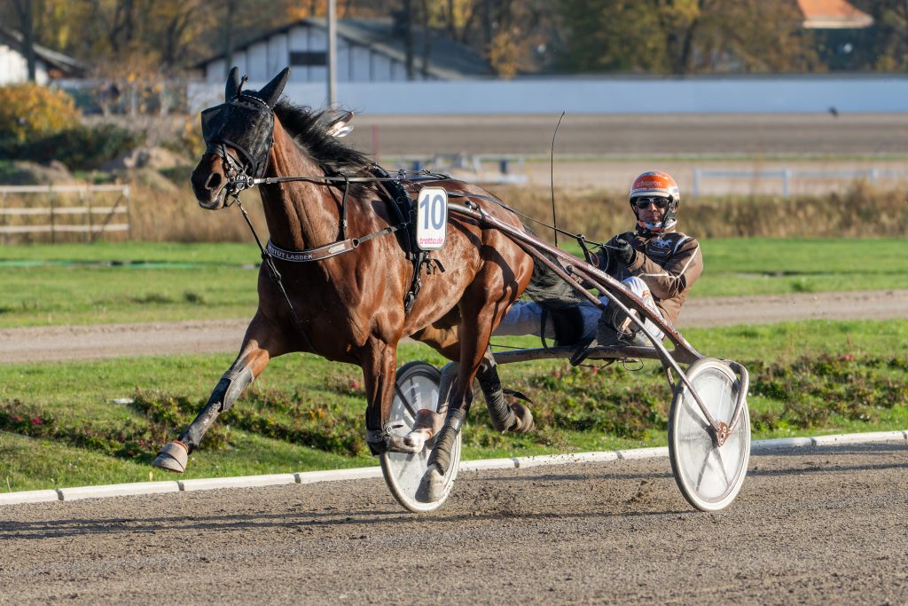Saluti mit Tom Karten gewinnt den Amateur-Pokal des VDT 24