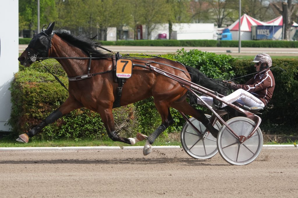 Saluti mit Josef Franzl gewinnt den Frühjahrs-Pokal des VDT 24