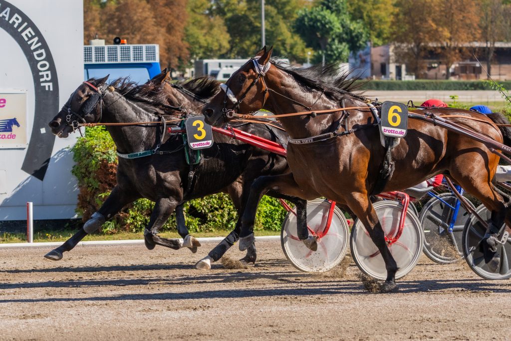 Othello PS mit Victor Gentz gewinnt den Herbst-Pokal des VDT 24