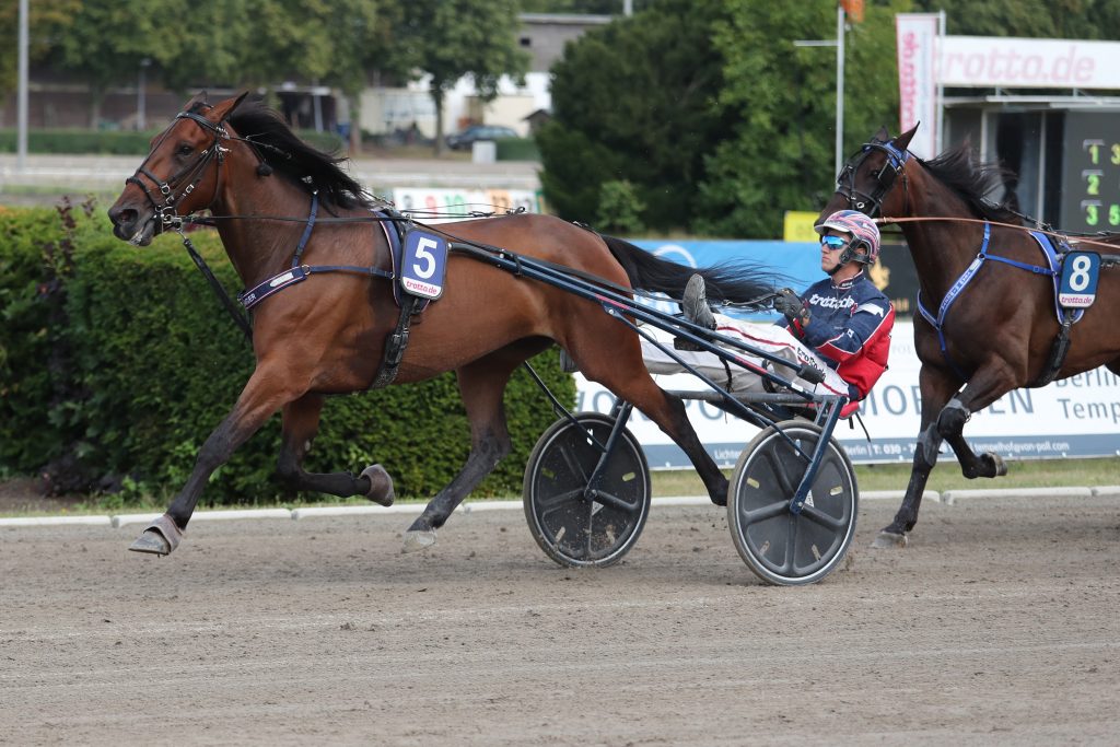 Goldfinger (5) mit Marciano Hauber gewinnt den Sommer-Pokal des VDT.