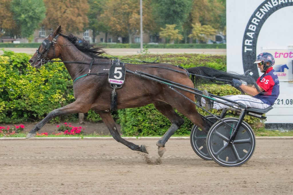 Andrala (5) mit Dennis Spangenberg gewinnt den Herbst-Pokal des VDT