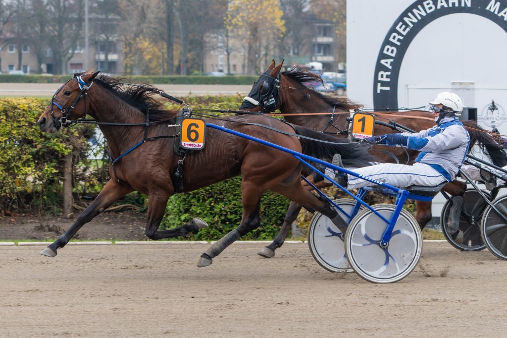 Komino Blue Lagoon mit Andreas Gläser gewinnt den Mitglieder-Pokal des VDT 25.