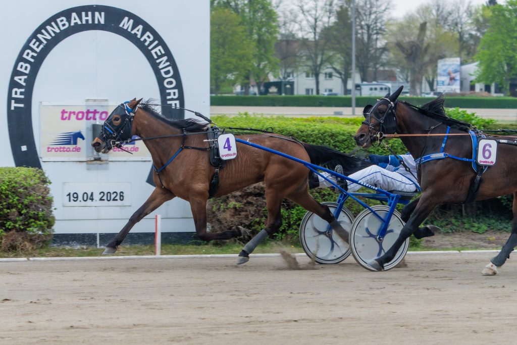 Komino Blue Lagoon mit Andreas Gläser gewinnt den Frühjahrs-Pokal des VDT 26.