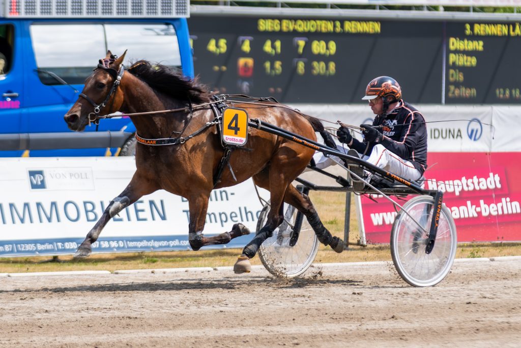 Creamontop Diamant mit Dion Tesselaar gewinnt den Sommer-Pokal des VDT.